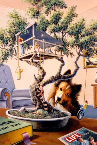 BonsaiTree House