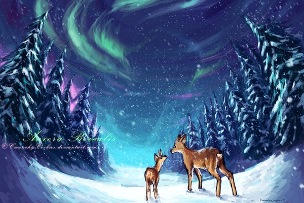 Aurora Borealis