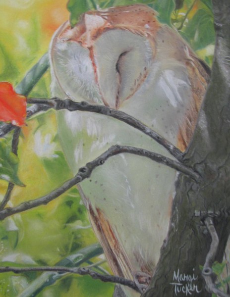 Light Sleeper-Sold
