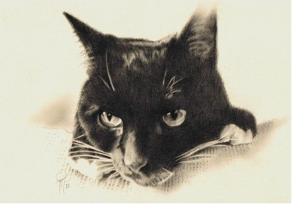 Maud (Original Portrait Commission)