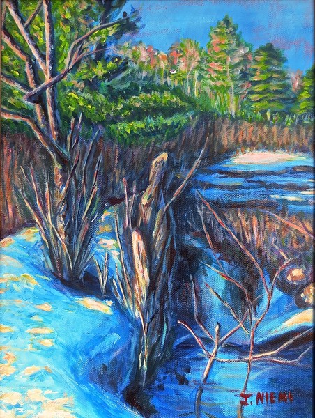 Afternoon Fullam Hill Pond