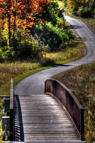 Fall at Raceway Woods