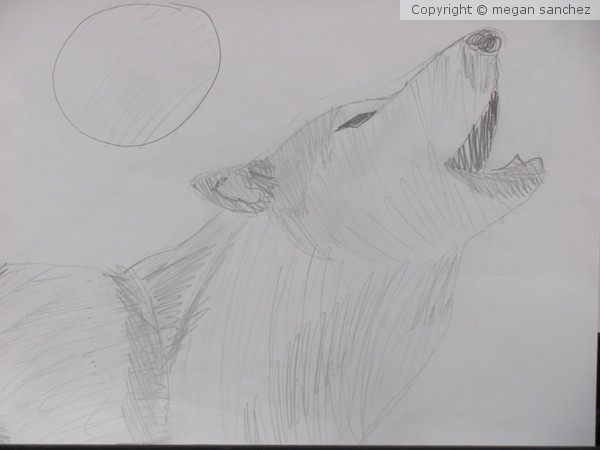 Wolf Howling
