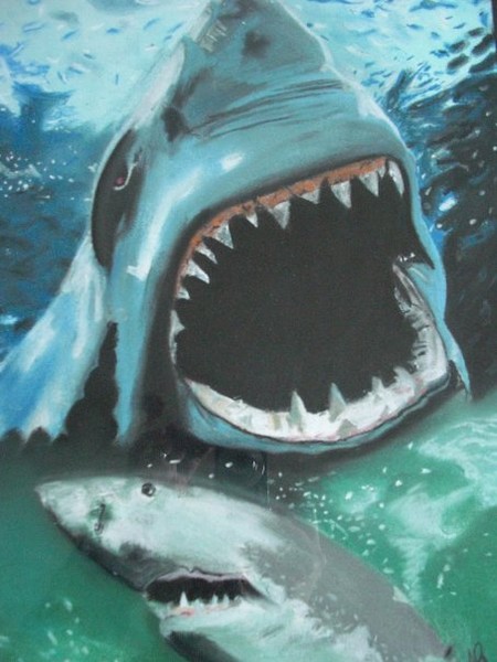 SHARKS.