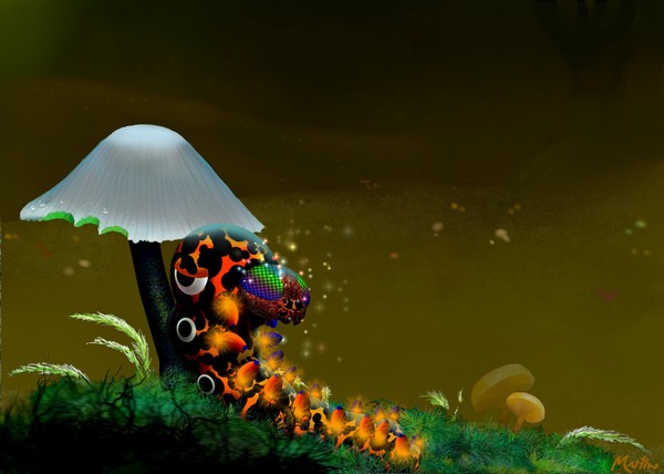 Magics Field 