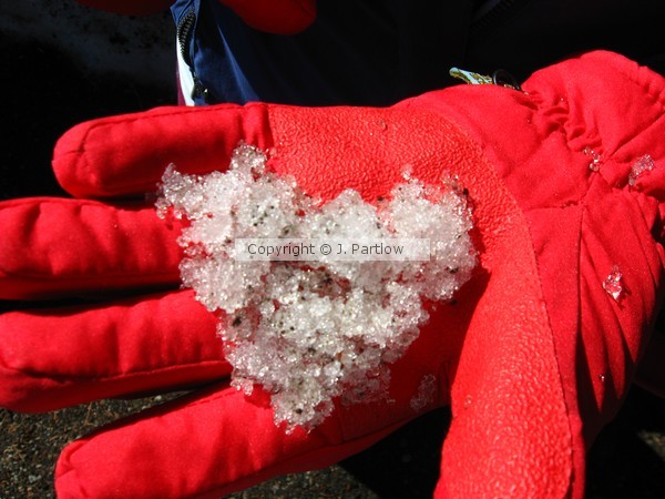 Snow is Love, Ice is Love