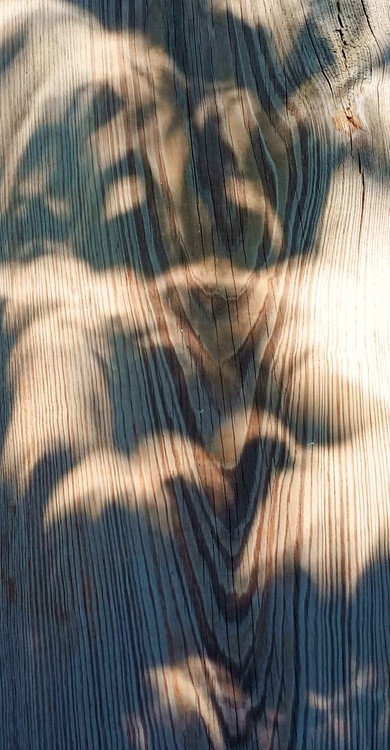 Oct 14 Eclipse on planed wood