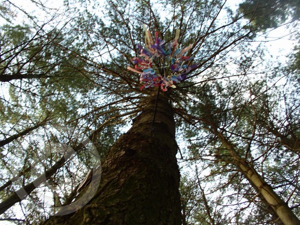 windsock II