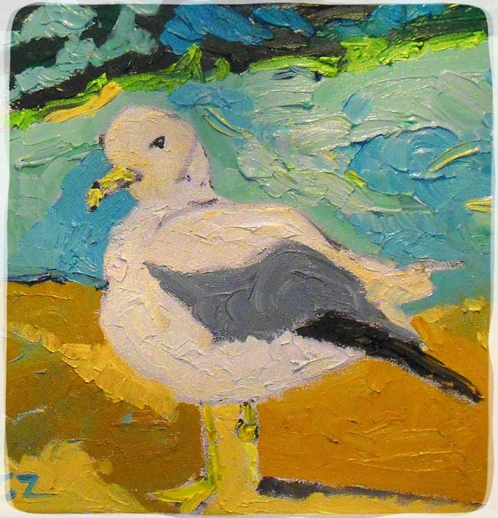 Gull