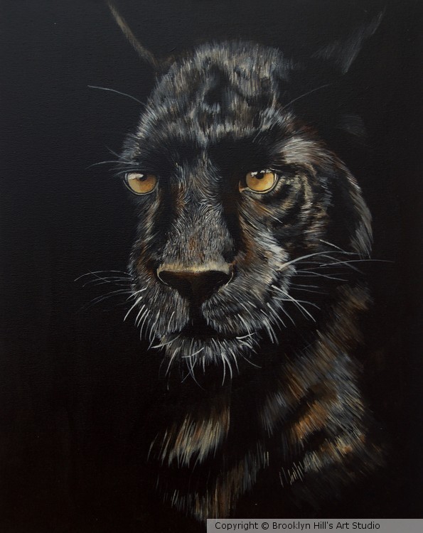 Black Beauty