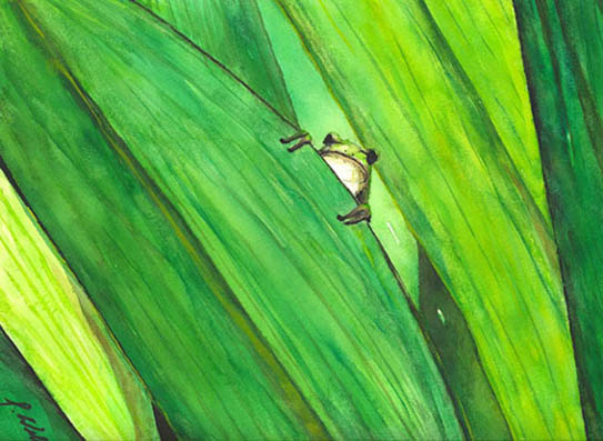 Frog