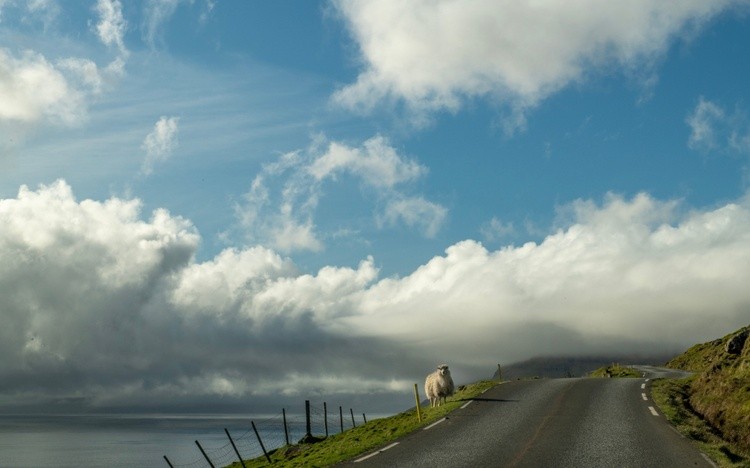 The Watcher of the Faroes