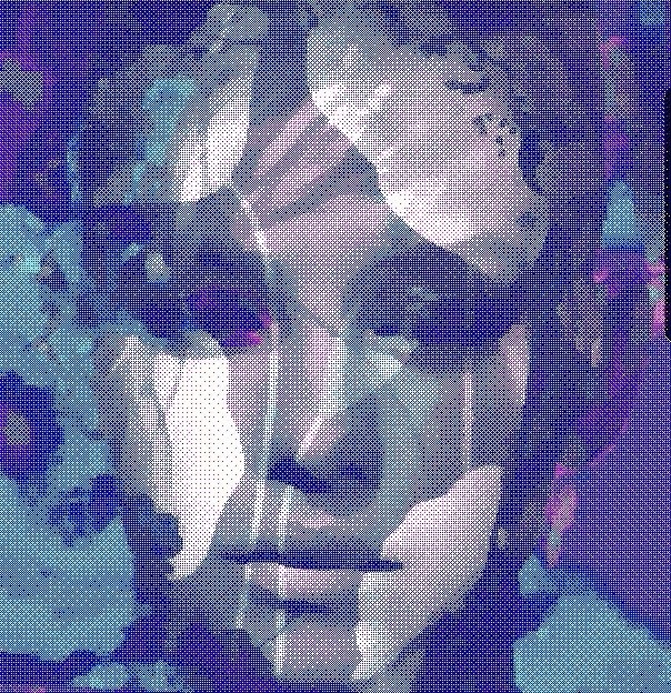 self portrait-DIGITAL JUNGLE
