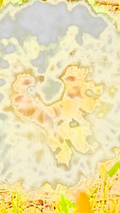 thumbnail-791