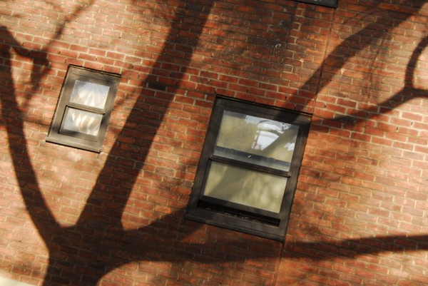 Windows Of Manhattan-11