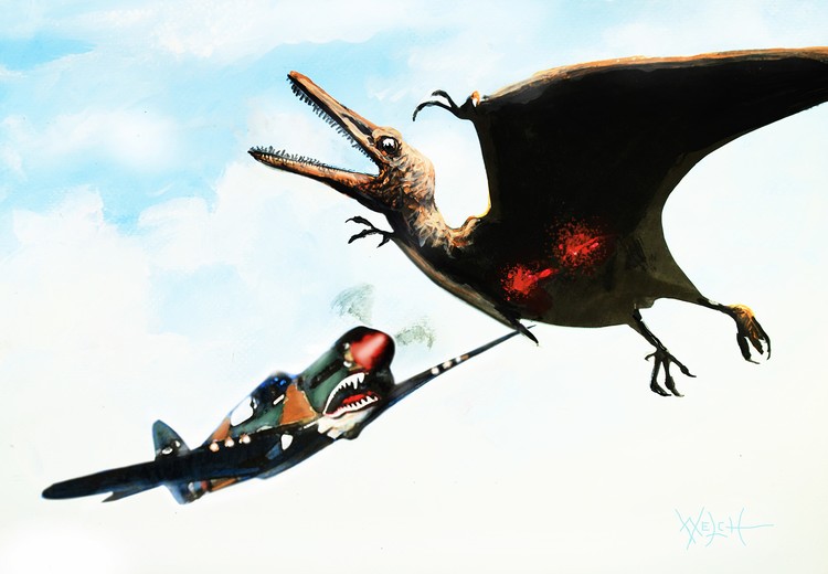 FLYING TIGER VS PTERODACTYL