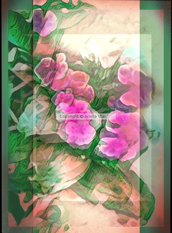 Flowers in the planter