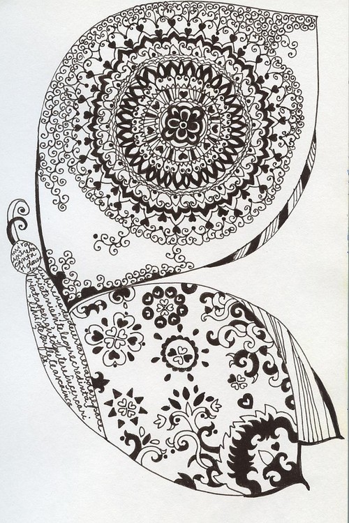 butterfly