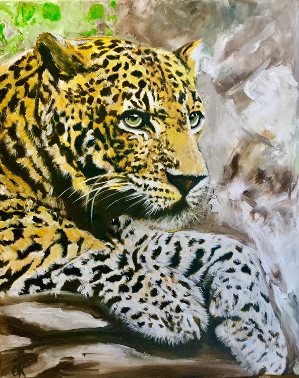 Leopard in rocks