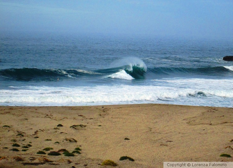 Misty Wave