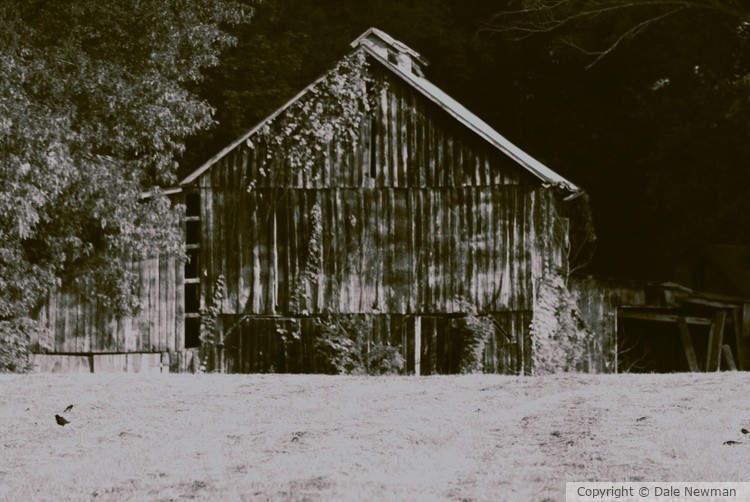 The Old Barn BW