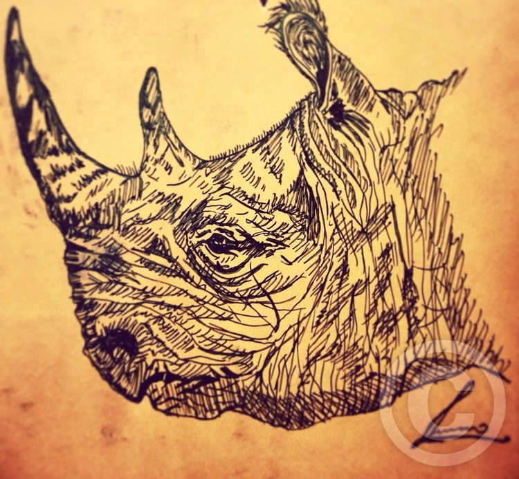 rhino