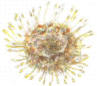 Pincushion Flower Watercolor
