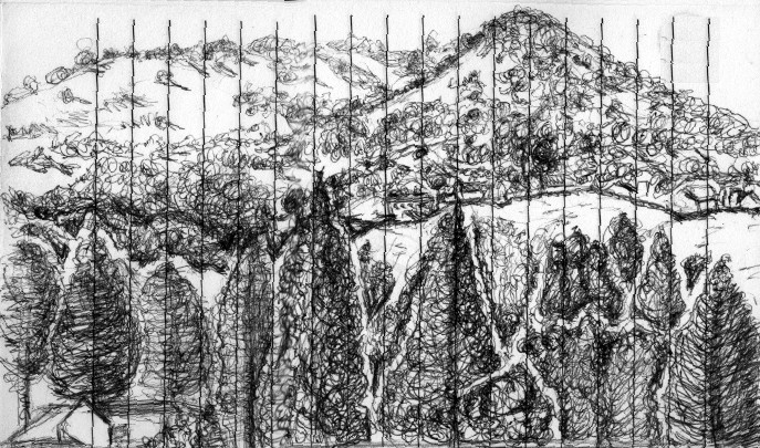 Mount Burdell Drawing