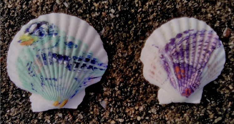 Bird & Butterfly Shell Paintings