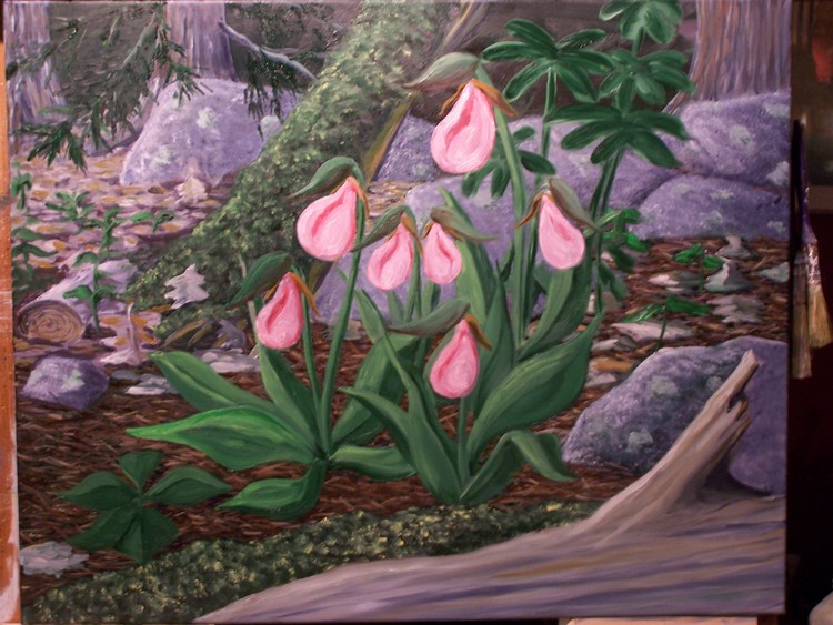 lady slippers