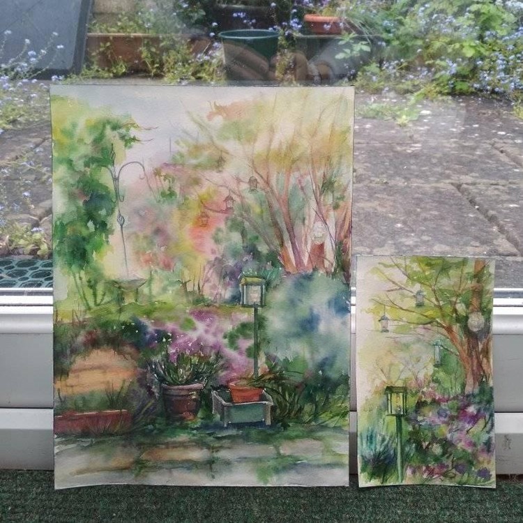Andrew King's garden