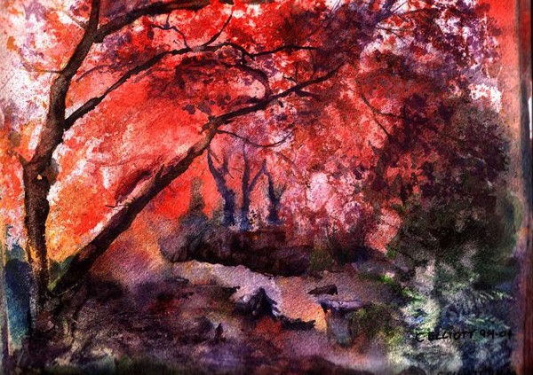 Red Forest