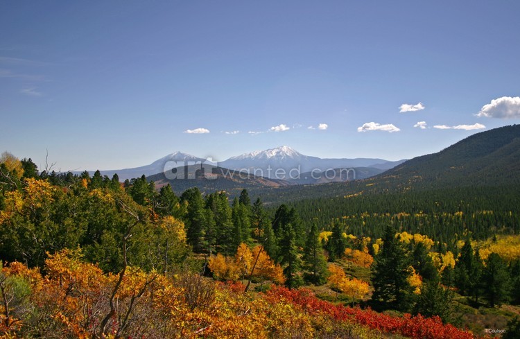 Time for Fall