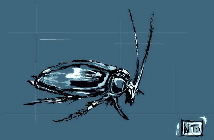 bug pet