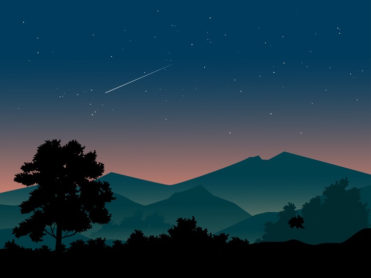 night sky full of stars