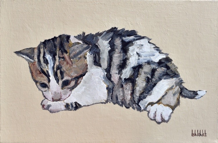 Bengal Kitten