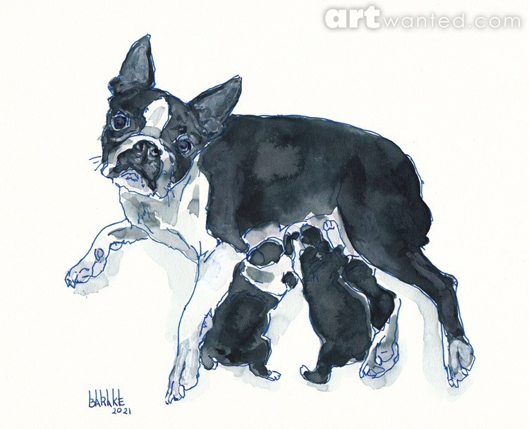 BOSTON TERRIER MOM WITH TWO PUPPS