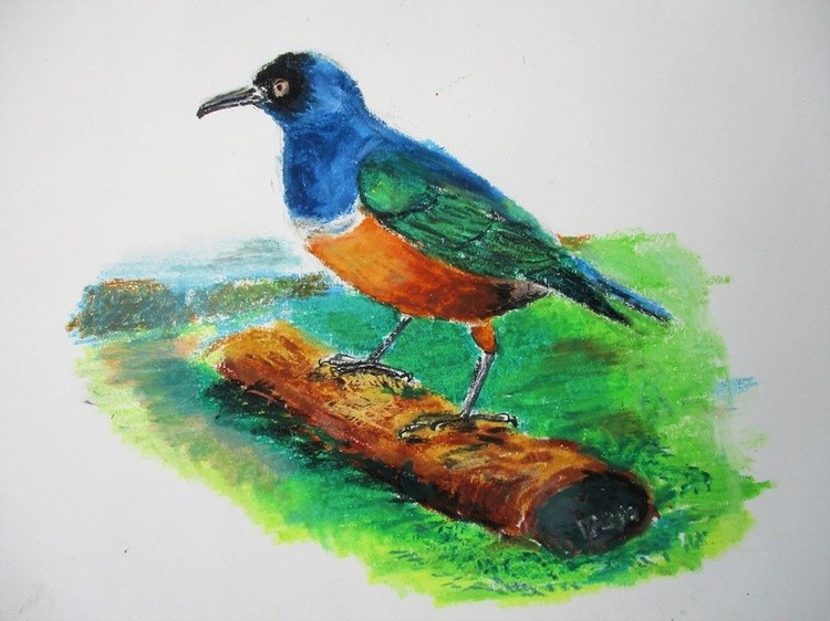 SuperbStarling