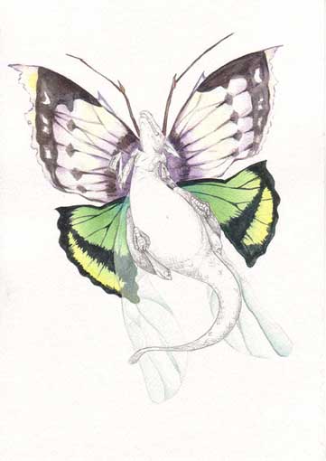 Faery Dragon