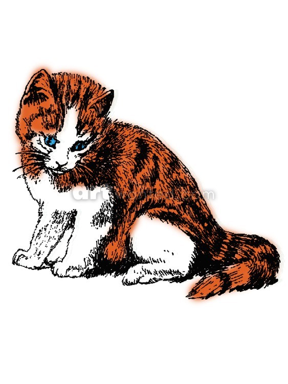 Ginger Cat