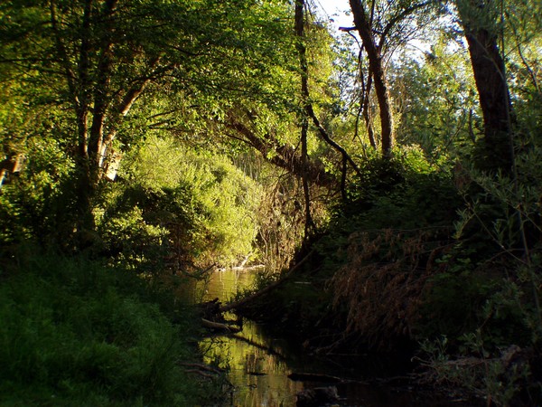 Approaching Light