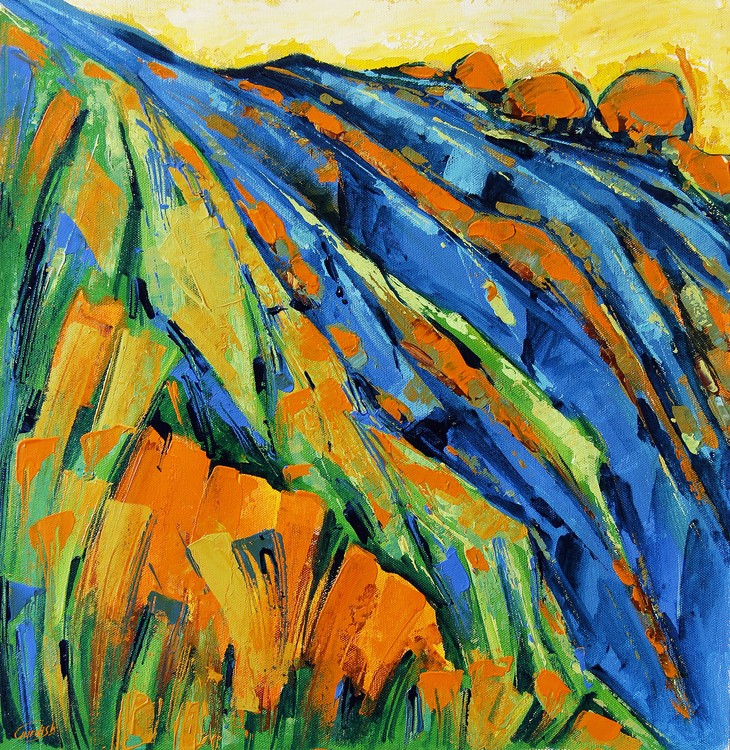 The Grand Canyon 12