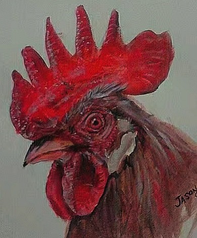 Rooster4