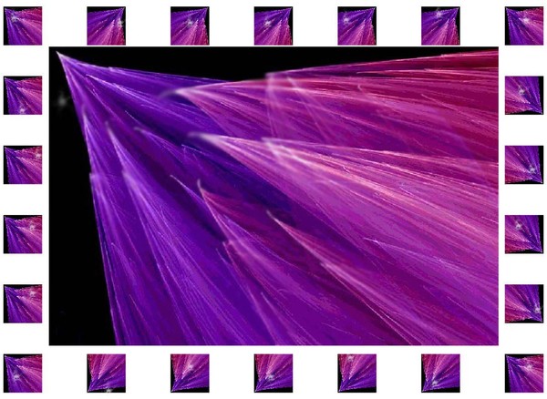 Shooting Stars......