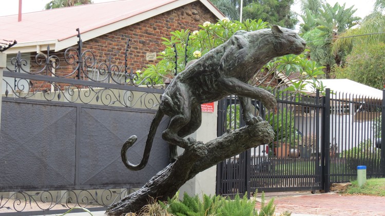 LIFE SIZE STALKING LEOPARD