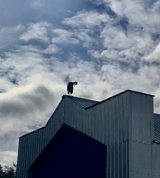 sky high