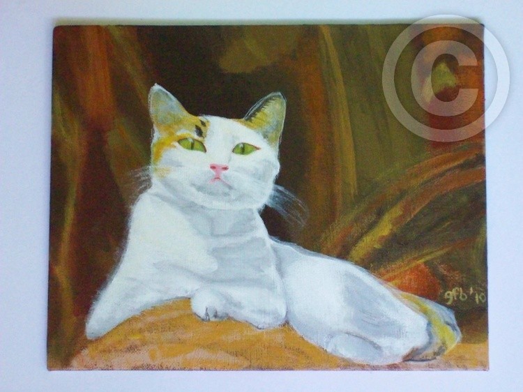 white cat
