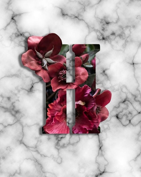 Typography Art