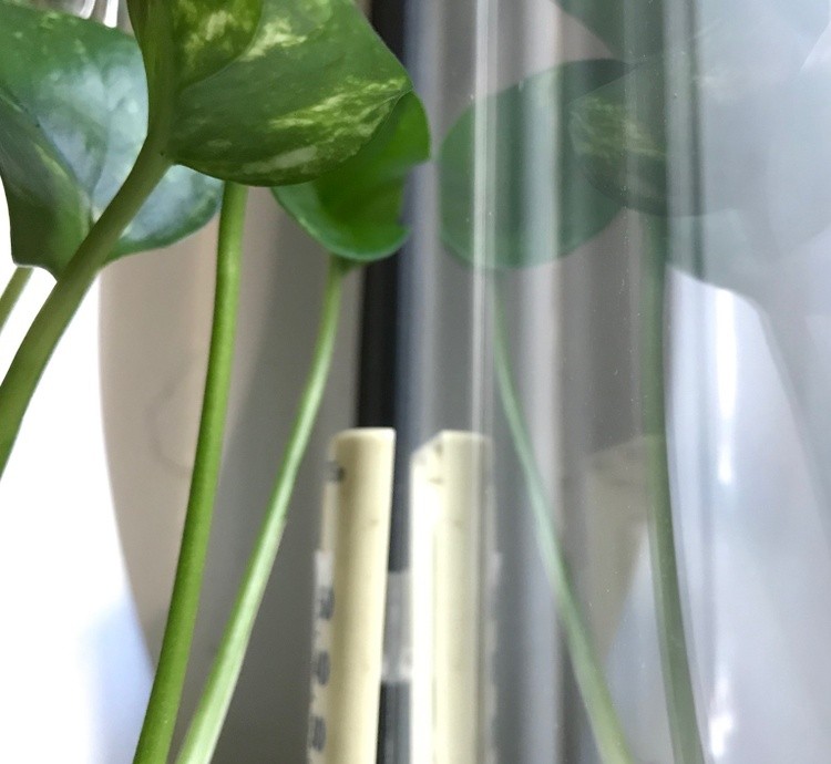 Window Sill