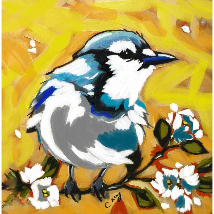 Blue Jay